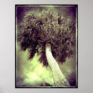 Poster Le Palm