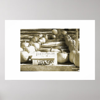 Poster Le panier Citrouille