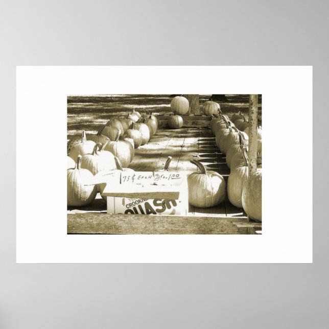 Poster Le panier Citrouille (Devant)