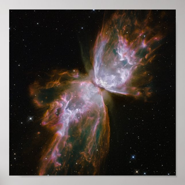 Poster Le papillon émerge d'une disparition stellaire dan (Devant)
