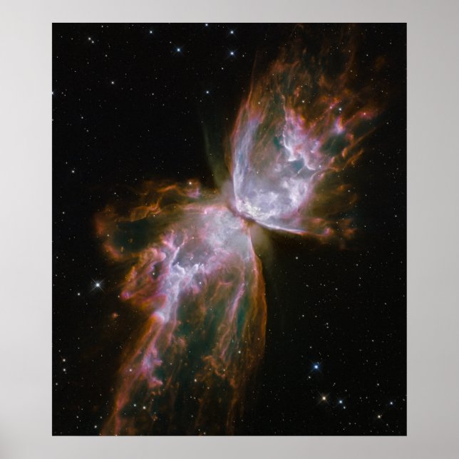Poster Le papillon émerge d'une disparition stellaire dan (Devant)
