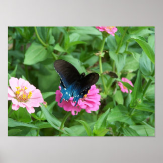 Poster Le papillon One de Smitty