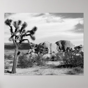 Poster Le parc national de B&W Joshua Tree