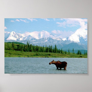 Poster Le Parc national de Denali