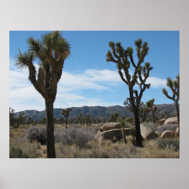 Poster Le Parc national de Joshua Tree (Devant)