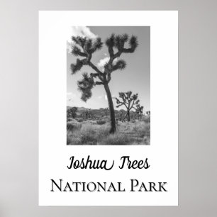 Poster Le Parc national de Joshua Trees