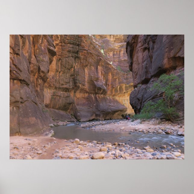 Poster Le Parc national de Narrows Zion (Devant)