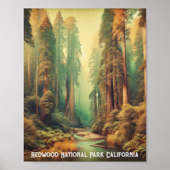 Poster Le parc national de Redwood Californie (Devant)