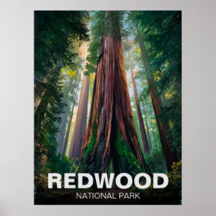 Poster Le parc national de Redwood, Californie côtière