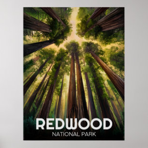 Poster Le parc national de Redwood, Californie côtière