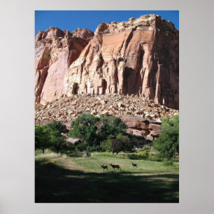 Poster Le Parc national du Capitol Reef