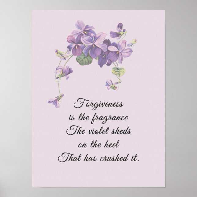 Poster Le pardon est le parfum violet Sheds (Devant)