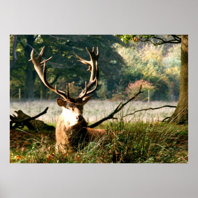 Poster Le patron (Devant)