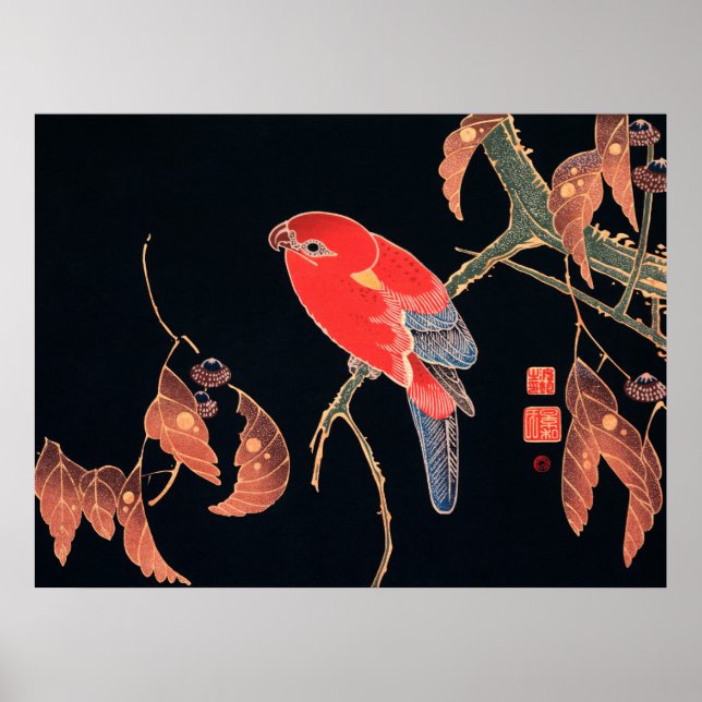 Poster Le perroquet rouge sur la branche de l'arbre par I (Devant)