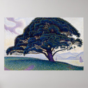 Poster Le pin Bonaventure - Paul Signac