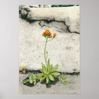 Poster Le pinceau du diable