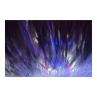 Le plaisir d'été de Sherri au carwash