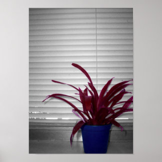 Poster Le Plante pourpre