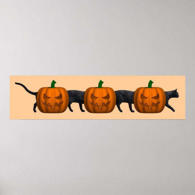 Poster Le plus long chat du monde (Devant)