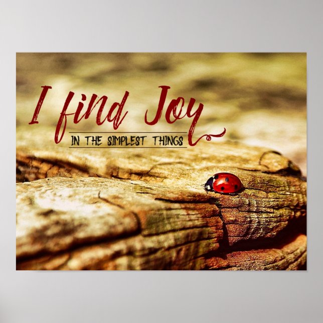 Poster Le Plus Simple (Devant)