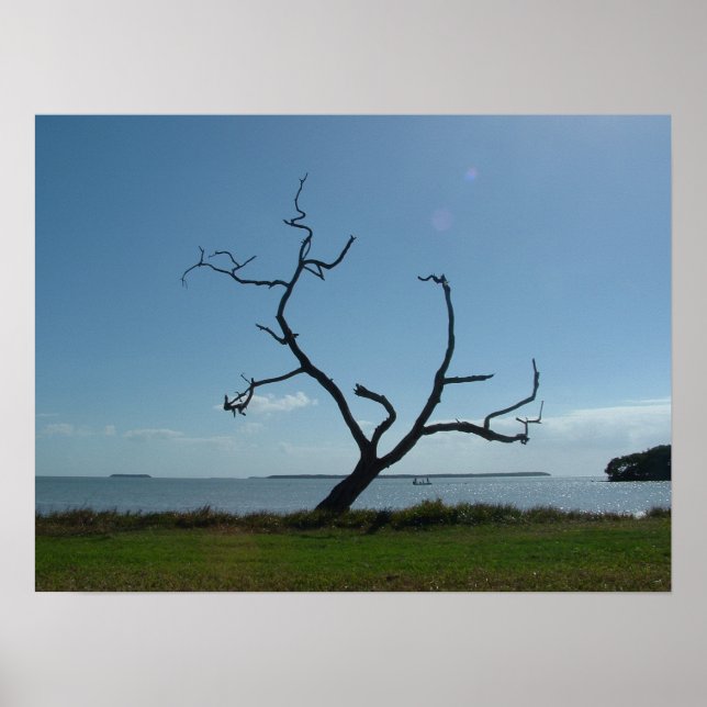 Poster Le Poète (Devant)