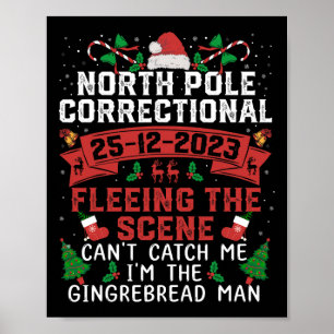 Poster Le pôle Nord - Le système correctionnel fuit la sc