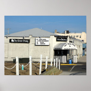 Poster Le poney en pierre en parc NJ d'Asbury