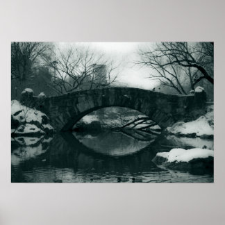 Poster Le pont de Central Park