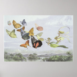 Poster Le portage de la reine des fées Elf World