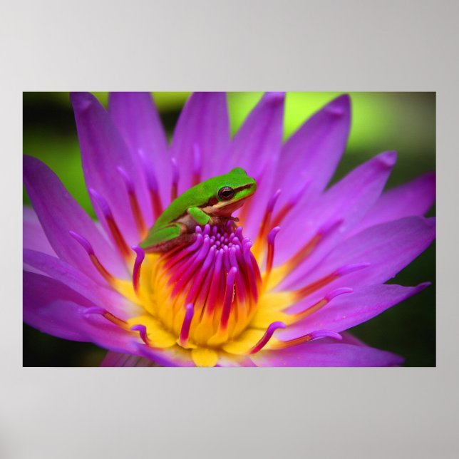 Poster Le Poser (Devant)