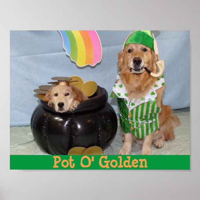 Poster Le pot d'or de Leprechaun (Devant)