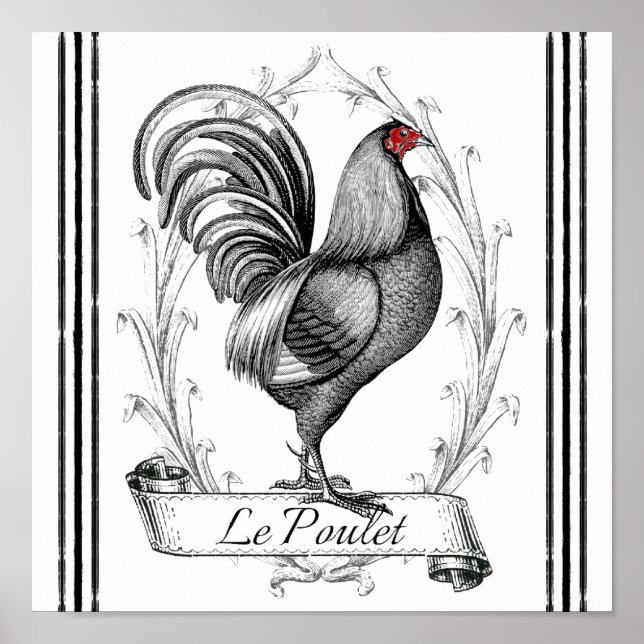 Poster Le Poulet (Devant)