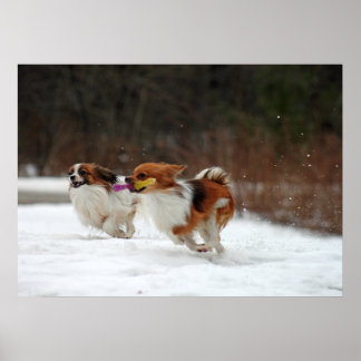 Poster Le premier jour de l'hiver 2012