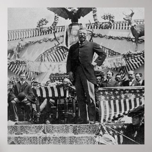 Poster Le président Teddy Roosevelt au Wyoming en 1903 (Devant)