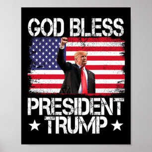 Poster Le président Trump 2024, sous l'égide de l'Organis
