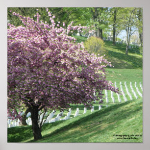 Poster Le printemps à nouveau au cimetière national d'Arl