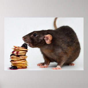 Poster Le rat très affamé