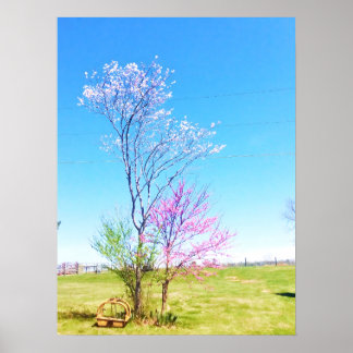 Poster Le Redbud Est Se Trouve À Côté Du Redcèdre Est