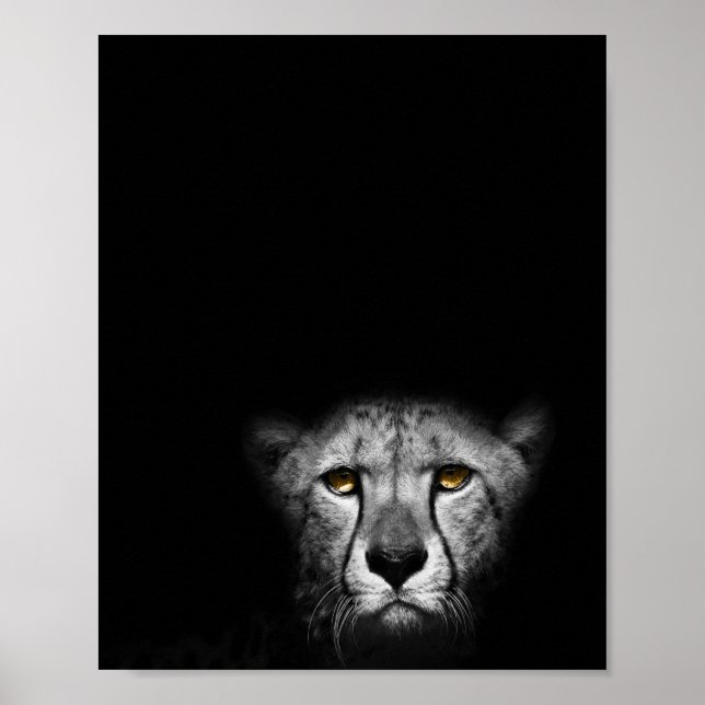 Poster Le regard, Leopard, photo noir et blanc (Devant)
