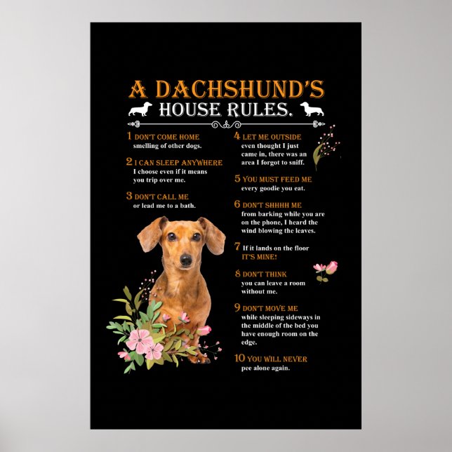 Poster Le règlement de la maison d'un Dachshund (Devant)