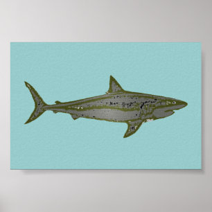 Poster le requin