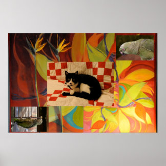 Poster Le rêve d'Euclid