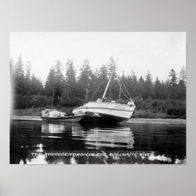 Poster Le Rhododendron sur la rivière Quillayute (Devant)