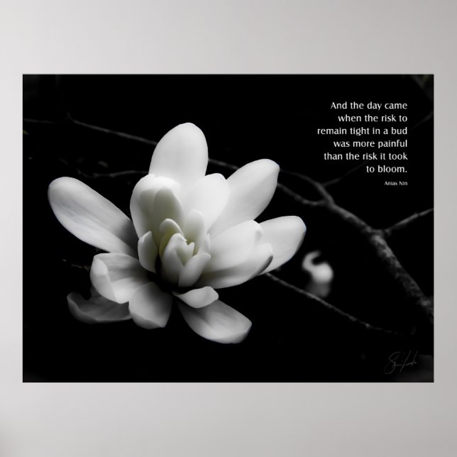 Poster Le risque d'une explosion (Devant)