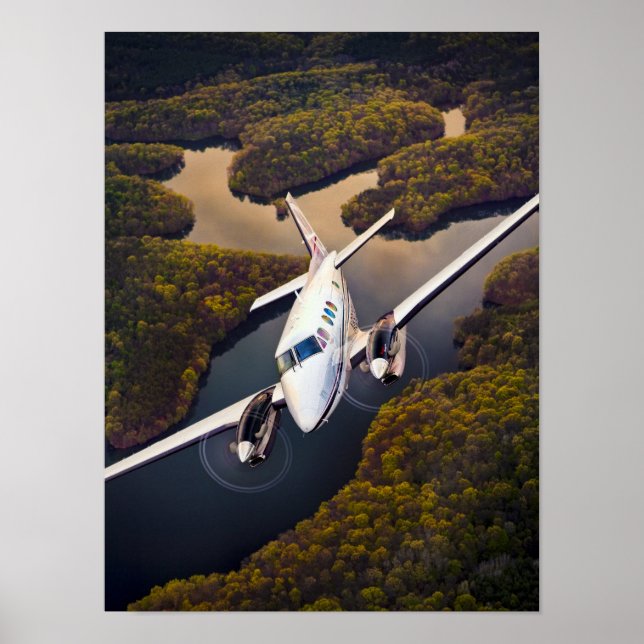 Poster Le roi Air sur l'eau (Devant)