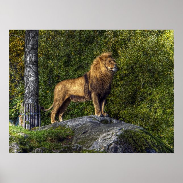 Poster Le Roi Lion (Devant)