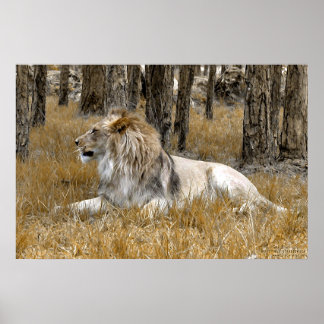 Poster Le Roi Lion