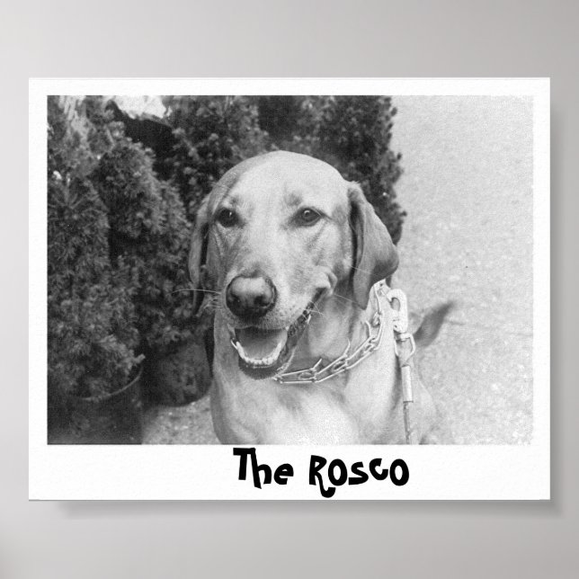 Poster Le Rosco (Devant)