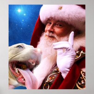 Poster le rouge a flairé le chien et le père noël de