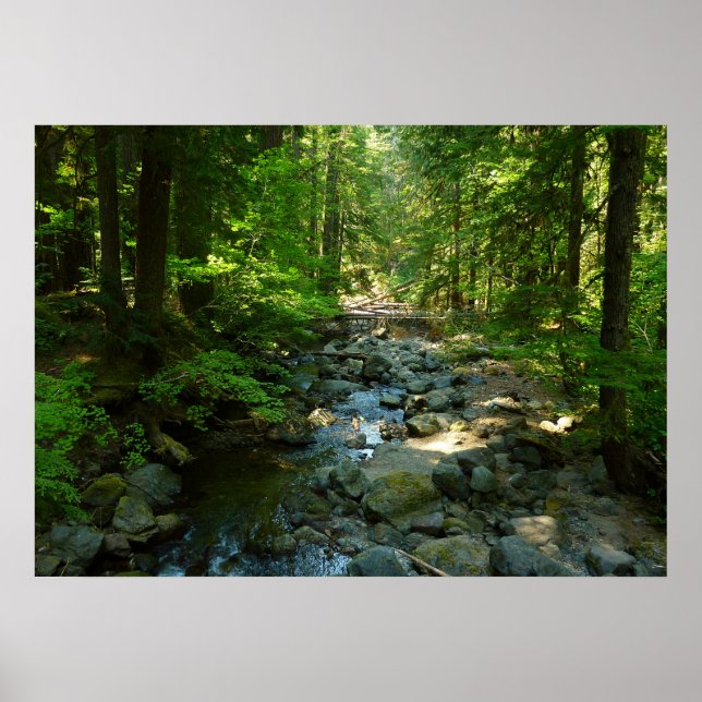 Poster Le ruisseau Laughwater au parc national Mount Rain (Devant)